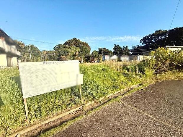 現地周辺は開放感があり明るい印象が広がっています。
