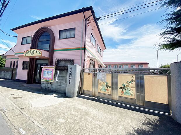 たちばな幼稚園まで約850m