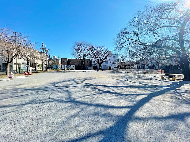 西仲公園まで約35m