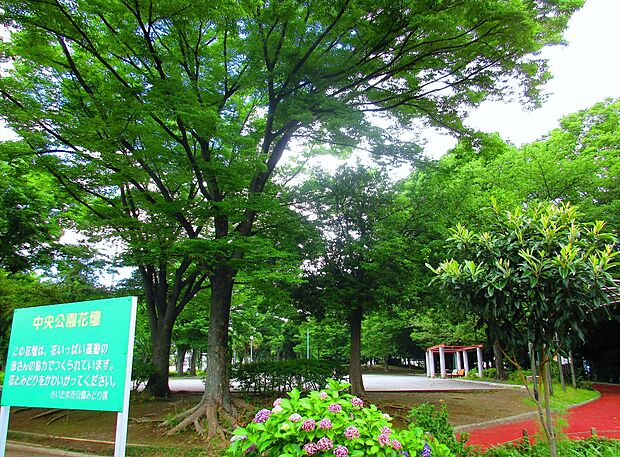 与野中央公園まで約100m