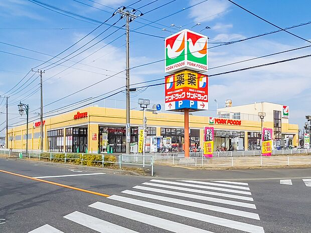 ヨークフーズ東岩槻店まで約1100m