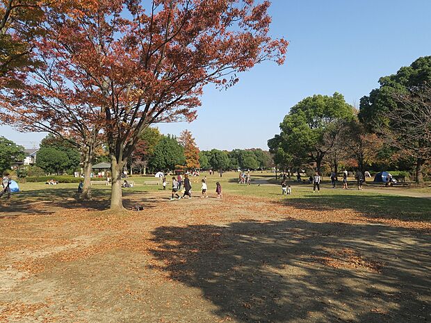 岩槻城址公園まで約300m
