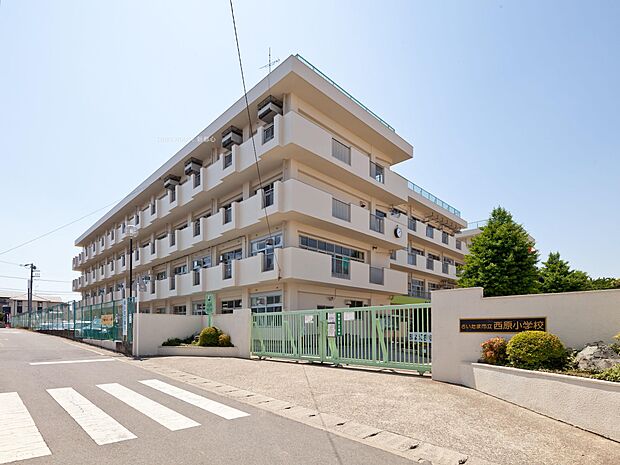 西原小学校まで約230m