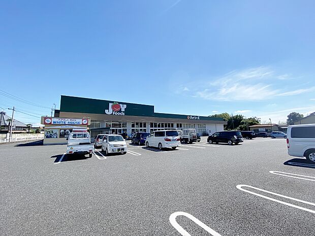 ジョイフーズ蓮田藤ノ木店まで約380m