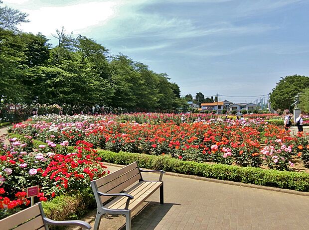 与野公園まで約550m
