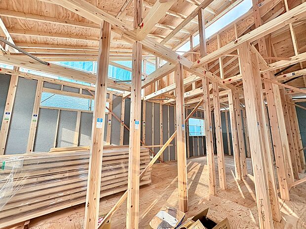 南東角地につき陽当たり良好。(令和7年11月 撮影)