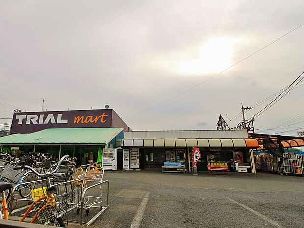 トライアルマート　北越谷店まで約700m
