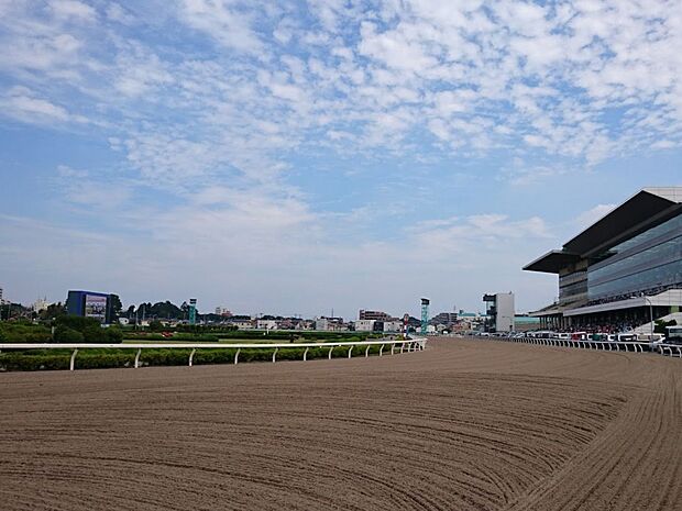 浦和競馬場まで約350m