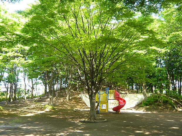 明花公園まで約650m