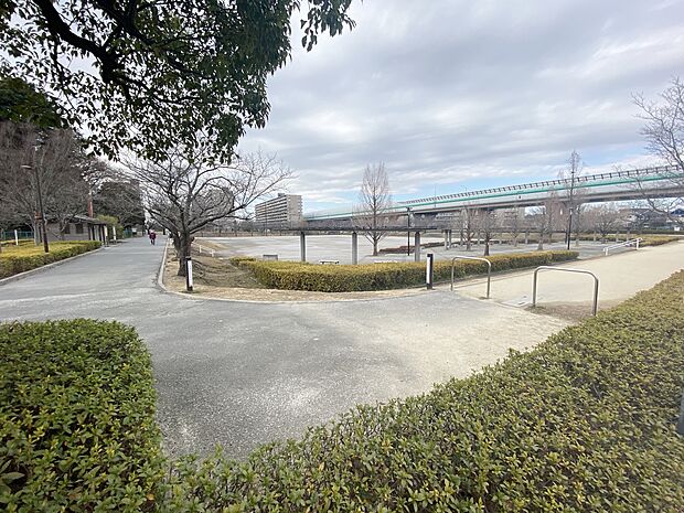 滝沼川第2遊水池まで約350m