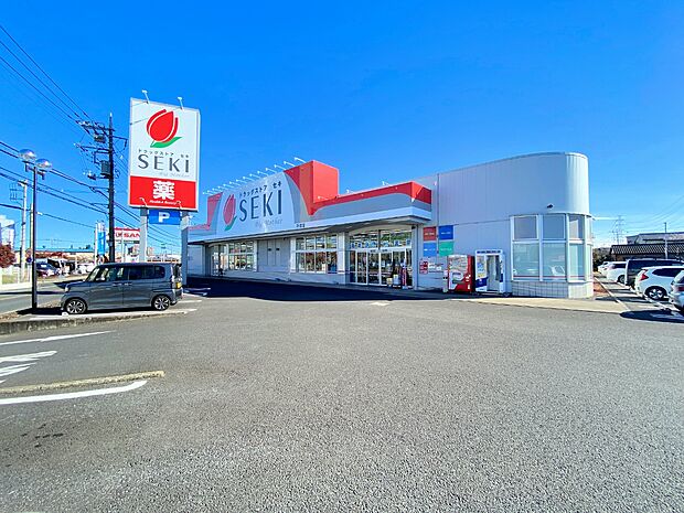 ドラッグストア セキ 平塚店まで約600m
