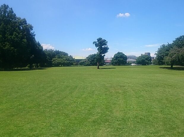 市民の森 見沼グリーンセンターまで約700m