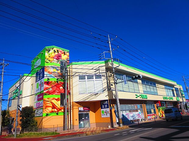 コープみらいコープ指扇店まで約900m