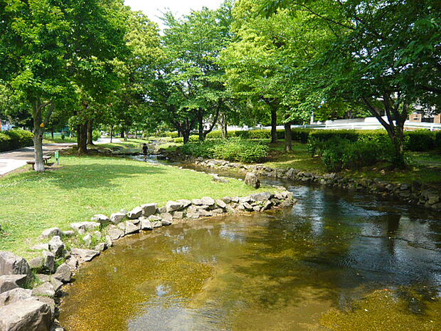 東大宮親水公園まで約1100m