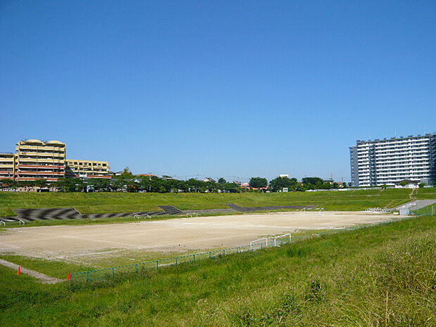 川口市 上谷沼運動広場まで約550m