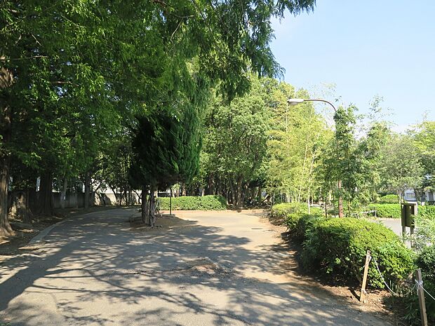 駒場運動公園まで約650m