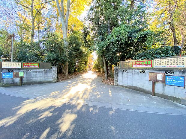 ひかわ幼稚園まで約700m