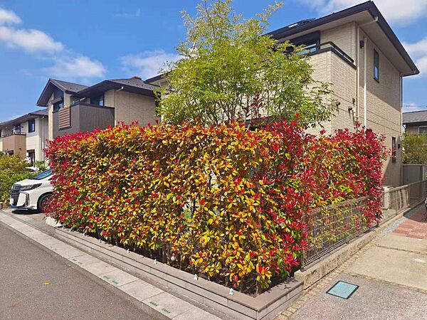 外観：311002231415