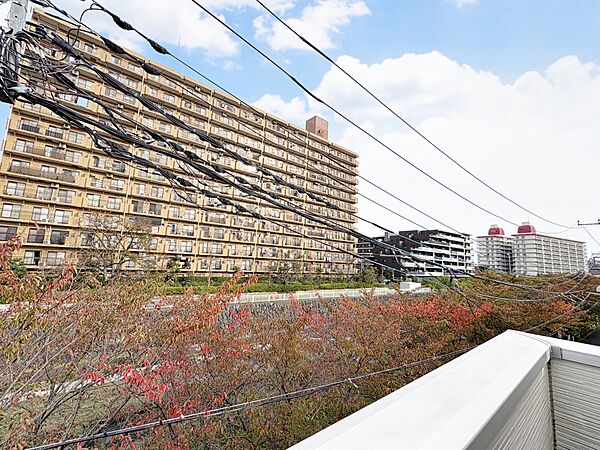 目の前に桜並木が広がります。