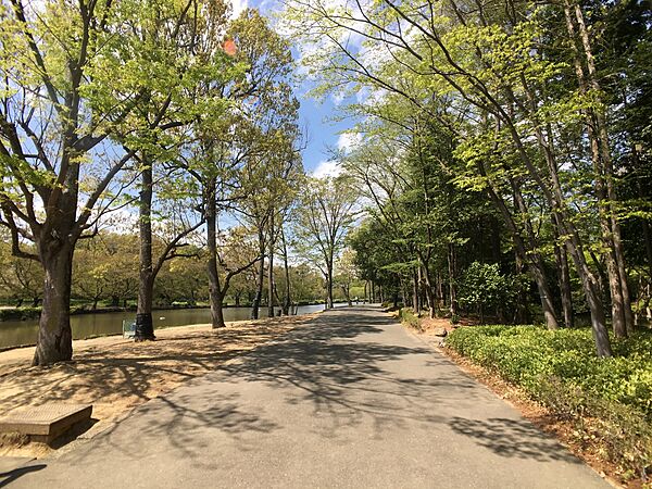 上尾丸山公園まで約1500m