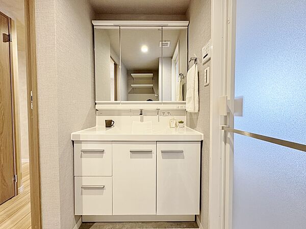 鏡の裏側には細かい物も収納でき、スッキリ片付いた洗面台に。