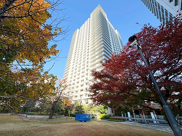 外観：311002256737