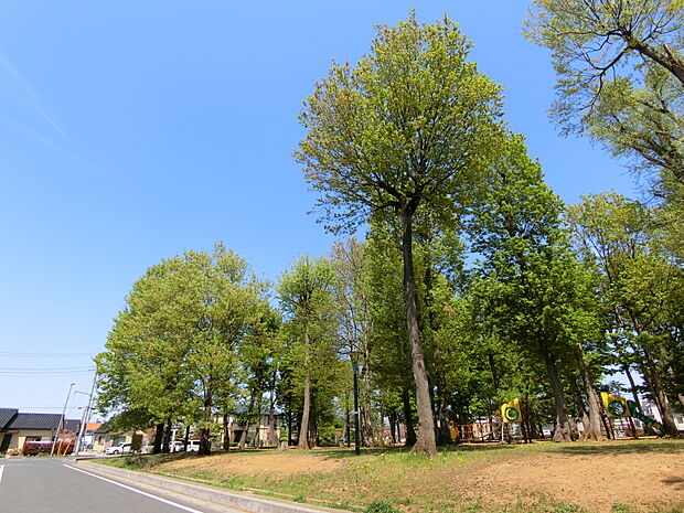 坂田弁天公園まで約980m