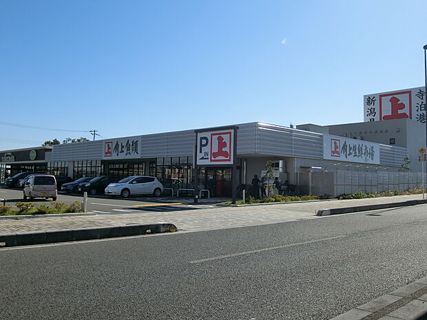 角上魚類 越谷まで約1300m