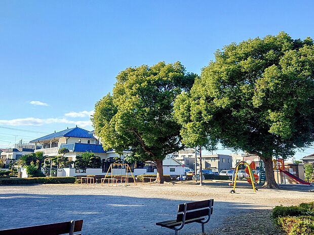 和田公園まで約600m