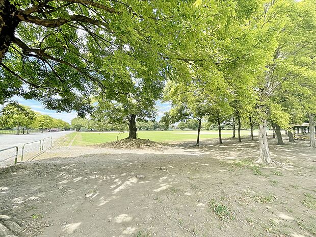 大間木公園まで約550m
