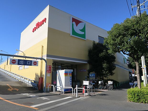 ヨークマート 柳崎店まで約750m