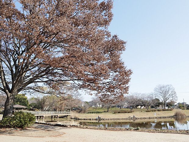西城沼公園まで約1100m