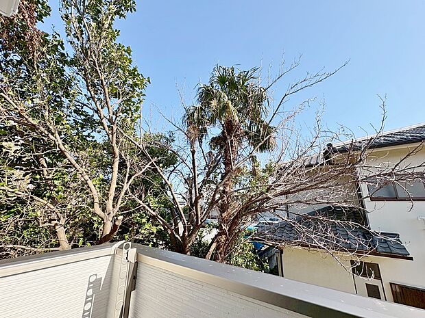 通風・採光にも優れ、心地よい光と風があふれています。