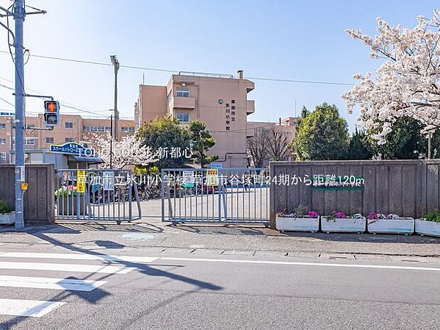 草加市立氷川小学校 120m
