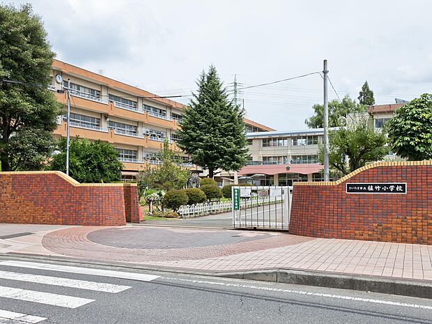 植竹小学校まで約1040m