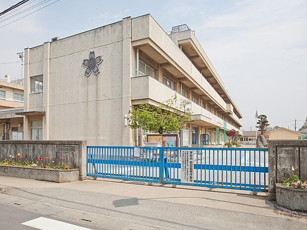 大谷小学校まで約406m