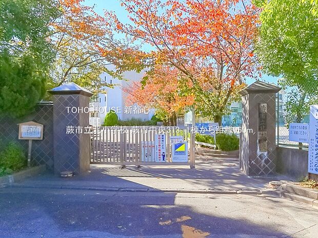 蕨市立北小学校 960m