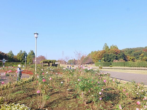 大宮花の丘農林公苑まで約1500m