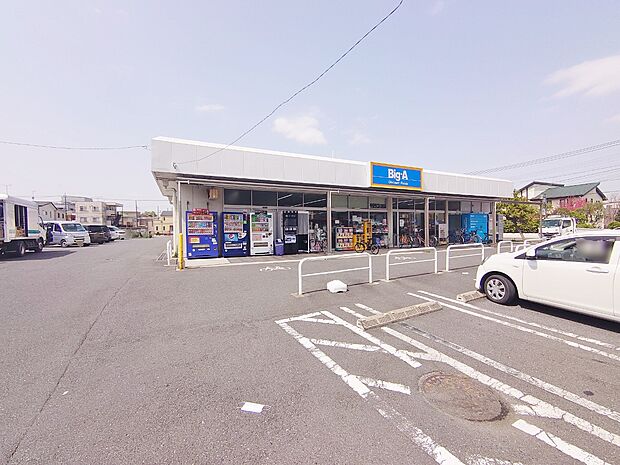 ビッグ・エー川口芝店まで約570m