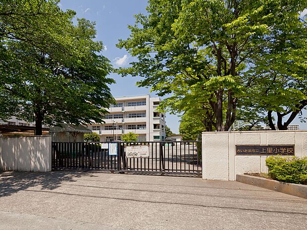 上里小学校まで約550m