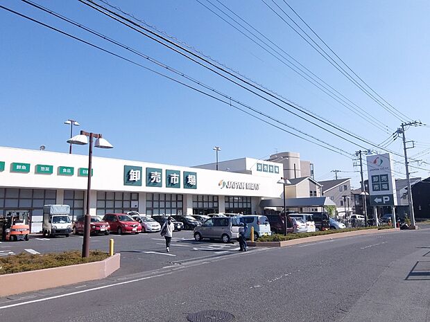 ジャパンミート卸売市場さいたま北店まで約800m