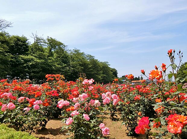 与野公園まで約750m