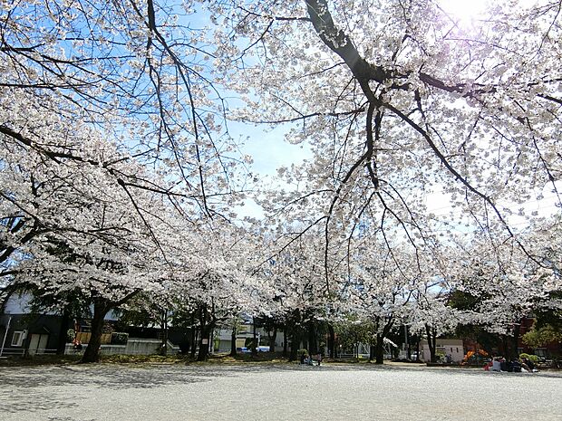 松原公園まで約500m