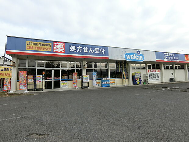 ウエルシア上尾本町店まで約210m