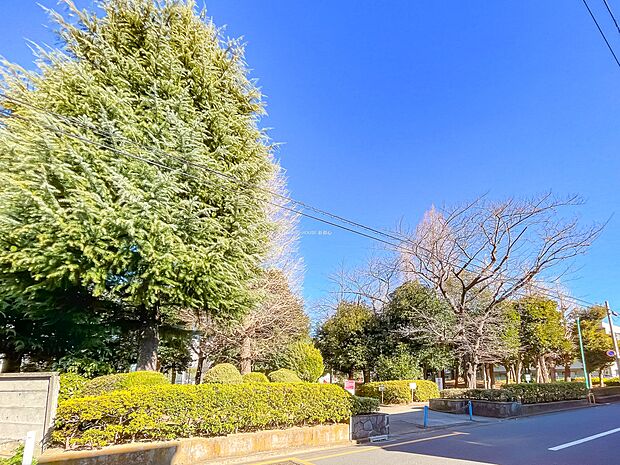 中青木公園まで約550m