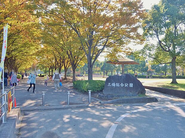 三橋総合公園まで約600m