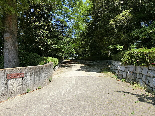 堂山公園まで約900m