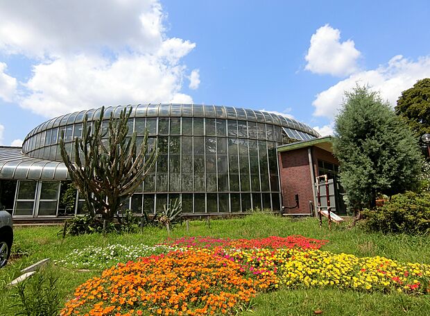 市民の森まで約300m