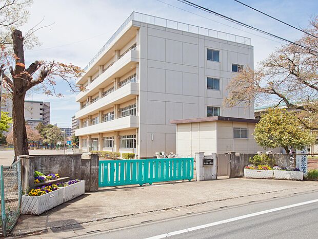 大砂土小学校まで約1100m