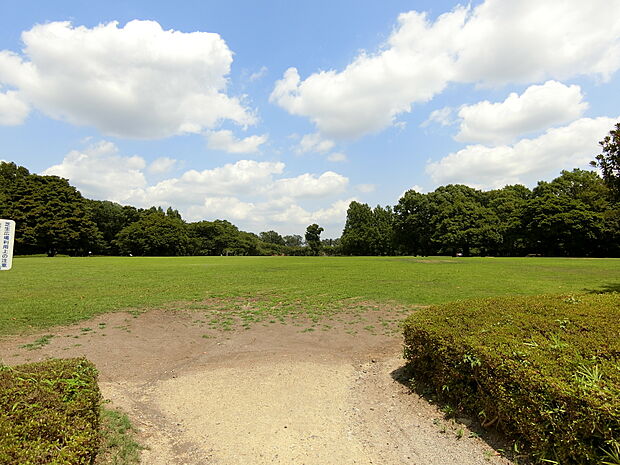 市民の森まで約300m